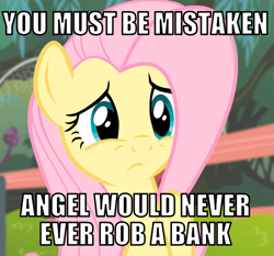 Size: 645x600 | Tagged: safe, edit, edited screencap, editor:twi clown, screencap, fluttershy, pegasus, pony, g4, caption, cropped, episode needed, female, image macro, implied angel bunny, mare, solo, text