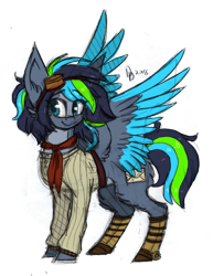 Size: 726x942 | Tagged: safe, artist:tay-niko-yanuciq, oc, oc only, pegasus, pony, clothes, colored wings, female, goggles, mare, pegasus oc, simple background, solo, transparent background, two toned wings, wings