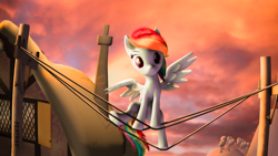 Size: 4000x2250 | Tagged: safe, artist:featray, rainbow dash, pegasus, pony, 3d, behaving like a bird, looking at you, sitting, solo, source filmmaker