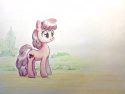 Size: 2048x1536 | Tagged: safe, artist:mandumustbasukanemen, berry punch, berryshine, pony, g4, outdoors, pencil drawing, smiling, solo, traditional art