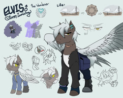 Size: 1280x1023 | Tagged: safe, artist:zoeandlodar, oc, oc only, pegasus, pony, ashes town, character design, male, missing eye, scar, scarred, stallion