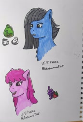Size: 2178x3164 | Tagged: safe, artist:autumnsfur, berry punch, berryshine, limestone pie, earth pony, pony, g4, blue fur, bust, green eyes, grey hair, high res, irl, long mane, notebook, paper, photo, pink eyes, pink fur, portrait, sharpie, sketch, traditional art