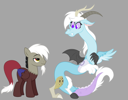 Size: 3300x2600 | Tagged: safe, artist:feather_bloom, discord, oc, oc:feather bloom(fb), oc:feather_bloom, draconequus, pegasus, pony, g4, draconequified, draconequus oc, duo, duo male and female, embarrassed, female, frown, gray background, high res, lidded eyes, looking at each other, looking at someone, male, nervous, ponified, pony discord, simple background, smiling, smirk, species swap, stallion, teeth