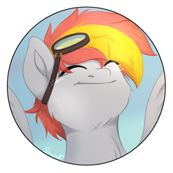 Size: 2480x2480 | Tagged: safe, artist:sinrinf, oc, oc only, oc:afterburner, pegasus, pony, bust, commission, glasses, happy, high res, portrait, simple background, smiling, solo, transparent background, ych result