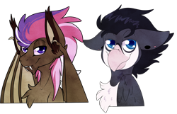 Size: 1280x823 | Tagged: safe, artist:velnyx, oc, oc only, bat pony, griffon, bust, portrait, simple background, transparent background