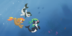 Size: 3464x1732 | Tagged: safe, artist:kalyandra, oc, oc only, oc:front page, oc:marina (efnw), oc:mocha sunrise, fish, hybrid, merpony, orca, orca pony, original species, pegasus, pony, seapony (g4), bubble, crepuscular rays, dorsal fin, everfree northwest, female, fish tail, flowing mane, flowing tail, glasses, green mane, looking at each other, looking at someone, ocean, open mouth, purple eyes, seaponified, seashell, smiling, species swap, sunlight, swimming, tail, underwater, water, wings