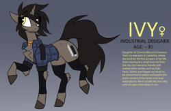 Size: 4737x3095 | Tagged: safe, artist:fenixdust, oc, oc only, oc:ivy, pony, unicorn, chest fluff, clothes, female, hockless socks, jewelry, mare, necklace, reference sheet, socks, stockings, thigh highs
