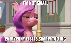 Size: 795x479 | Tagged: safe, edit, pipp petals, pegasus, pony, g5, my little pony: a maretime bay adventure, spoiler:g5, caption, female, folded wings, game screencap, grumpy, image macro, mare, outdoors, pipp is short, pipp petals is not amused, relativity, solo, text, unamused, video game, wings