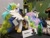 Size: 1280x961 | Tagged: safe, artist:essorille, princess celestia, pony, g4, cyrillic, irl, photo, plushie, rubronycon, russia, russian, solo