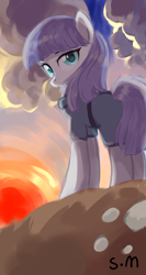 Size: 540x1012 | Tagged: safe, artist:starfallmoonlight, maud pie, earth pony, pony, g4, female, mare, solo, standing, sunset