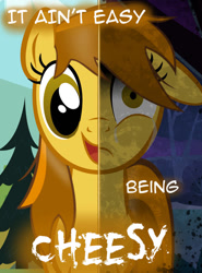 Size: 769x1039 | Tagged: safe, artist:yuitripfag, oc, oc only, oc:swiss cheesy, earth pony, pony, crying, female, floppy ears, frown, mare, scared, shrunken pupils, smiling, text, two sides