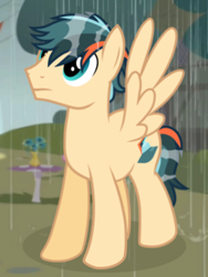 Size: 3072x4096 | Tagged: safe, oc, oc only, oc:turbo swifter, pegasus, pony, g4, looking up, male, rain, stallion