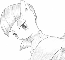 Size: 840x766 | Tagged: safe, artist:auntie_grub, maud pie, earth pony, pony, g4, female, looking at you, looking back, looking back at you, mare, simple background, solo, white background