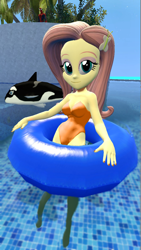 Size: 900x1600 | Tagged: safe, artist:oatmeal!, fluttershy, human, orca, whale, equestria girls, g4, 3d, breasts, clothes, floaty, gmod, inflatable, inflatable toy, inner tube, looking at you, one-piece swimsuit, orange swimsuit, pool toy, sexy, solo, swimming, swimming pool, swimsuit