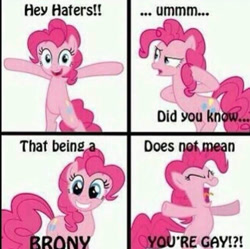 Size: 748x745 | Tagged: safe, pinkie pie, earth pony, pony, artifact, brony, comic, female, hater, needs more jpeg, solo