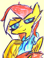 Size: 3024x4032 | Tagged: safe, artist:tfaaap, oc, oc:epic smiles, pegasus, pony, clothes, female, hoodie, mare