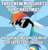 Size: 625x654 | Tagged: safe, rainbow dash, pegasus, pony, g4, may the best pet win, my little pony: friendship is magic, backwards ballcap, bad idea, baseball cap, cap, caption, christmas, clothes, female, hat, holiday, image macro, imminent beatdown, impact font, meme, merchandise, radical, shirt, sunglasses, text