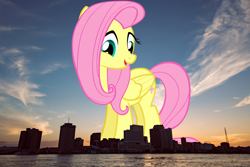 Size: 1920x1280 | Tagged: safe, artist:liggliluff, artist:thegiantponyfan, fluttershy, pegasus, pony, female, folded wings, giant pegasus, giant pony, giantess, giantshy, highrise ponies, irl, louisiana, macro, mare, mega giant, new orleans, open mouth, photo, ponies in real life, smiling, wings