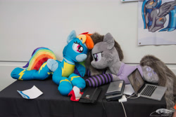 Size: 7360x4912 | Tagged: safe, artist:lanacraft, photographer:tastyeagle, marble pie, rainbow dash, oc, earth pony, pegasus, pony, g4, babscon, babscon 2022, canada, clothes, irl, life size, lying down, photo, plushie, prone, skintight clothes, socks, uniform, wonderbolts uniform