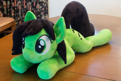 Size: 1280x854 | Tagged: safe, artist:azgchip, oc, oc only, oc:anon, pony, female, irl, mare, photo, plushie, solo