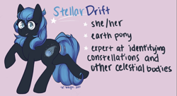 Size: 2048x1115 | Tagged: safe, artist:wonderwaifu, oc, oc only, oc:stellar drift, earth pony, pony, reference sheet, solo