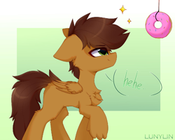 Size: 1600x1280 | Tagged: safe, artist:lunylin, oc, oc only, pegasus, pony, abstract background, chest fluff, donut, food, looking at something, male, simple background, solo, speech bubble, string, text