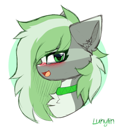 Size: 1481x1600 | Tagged: safe, artist:lunylin, oc, oc only, oc:jade stonesetter, earth pony, pony, abstract background, blushing, chest fluff, jewelry, looking at you, necklace, open mouth, side view, simple background, solo