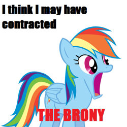 Size: 657x657 | Tagged: safe, rainbow dash, pegasus, pony, g4, brony, female, impact font, jaw drop, mare, meme, open mouth, simple background, solo, white background