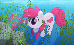 Size: 1280x775 | Tagged: safe, artist:potato22, oc, oc only, oc:manta, earth pony, octopus, pony, bubble, commission, coral, crepuscular rays, female, mare, ocean, pink eyes, pink mane, rock, seaweed, solo, sunlight, underwater, water