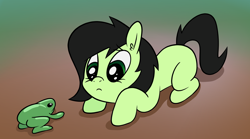 Size: 1940x1080 | Tagged: safe, artist:happy harvey, oc, oc only, oc:filly anon, earth pony, frog, pony, blank flank, cute, drawn on phone, ear fluff, female, filly, foal, gradient background, looking at each other, looking at someone, looking down