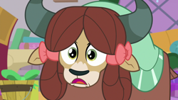 Size: 1280x720 | Tagged: safe, screencap, yona, yak, g4, season 8, the hearth's warming club, bowtie, looking at you, monkey swings, open mouth, reaction image, shocked, solo