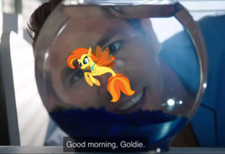 Size: 1500x1027 | Tagged: safe, artist:lightningbolt, edit, oc, oc:goldenflow, fish, goldfish, human, seapony (g4), g4, blue shirt guy, braid, english, fish bowl, free guy, goldie, hair tie, irl, irl human, photo, ryan reynolds, show accurate, subtitles