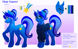 Size: 2700x1717 | Tagged: safe, artist:narci, oc, oc only, oc:star gazer, pony, unicorn, clothes, looking at you, reference sheet, solo, standing, sweater