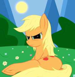 Size: 2448x2520 | Tagged: source needed, safe, artist:rugalack moonstar, applejack, earth pony, pony, g4, butt, female, flower, glare, high res, looking at you, mare, missing accessory, plot, simple background, solo