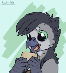 Size: 2900x3200 | Tagged: safe, artist:buy_some_apples, oc, griffon, food, griffon oc, high res, sandwich