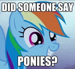 Size: 625x576 | Tagged: safe, edit, edited screencap, screencap, rainbow dash, pegasus, pony, friendship is magic, g4, artifact, caption, excited, female, image macro, impact font, meme, smiling, solo, text