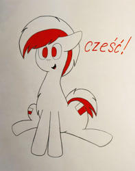 Size: 1280x1628 | Tagged: safe, artist:thunderrainbowshadow, pony, nation ponies, no pupils, poland, polish, ponified, solo, traditional art