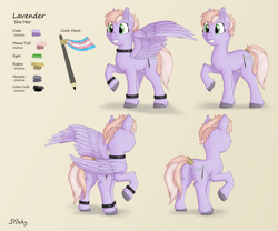 Size: 2400x2000 | Tagged: safe, artist:stinkehund, oc, oc:lavender, pegasus, pony, butt, collar, cuffs, female, fluffy, high res, pegasus oc, pencil, plot, pride, pride flag, reference sheet, rope, solo, spread wings, tail, tail wrap, trans female, transgender, transgender oc, transgender pride flag, wings