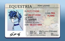 Size: 1280x805 | Tagged: safe, artist:opalacorn, oc, oc only, oc:soaring spirit, pegasus, pony, bowtie, facial markings, glasses, id card, license, male, multicolored hair, multicolored mane, pegasus oc, solo, stallion