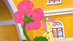 Size: 3410x1920 | Tagged: safe, screencap, posey bloom, earth pony, pony, g5, maretime bay day 2.0, my little pony: tell your tale, spoiler:g5, spoiler:my little pony: tell your tale, bow, eyes closed, female, flower, high res, mare, smiling, solo, tail, tail bow