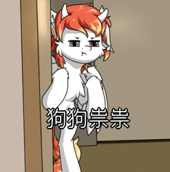 Size: 350x354 | Tagged: safe, artist:tx547, oc, oc:sovietsnow, pony, :t, bipedal, chinese, chinese meme, meme, solo, text