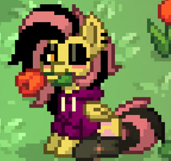 Size: 479x451 | Tagged: safe, fluttershy, pegasus, pony, pony town, g4, clothes, emoshy, flower, flower in mouth, looking at you, one eye closed, rose, rose in mouth, socks, solo