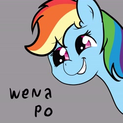 Size: 5906x5906 | Tagged: safe, artist:reinbou, rainbow dash, pegasus, pony, female, gray background, simple background, smiling, solo, spanish text