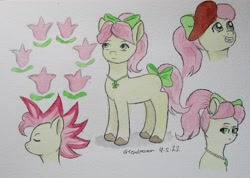 Size: 3843x2731 | Tagged: safe, artist:greendreamer27, posey bloom, earth pony, pony, g5, alternate hairstyle, beret, hat, high res, traditional art