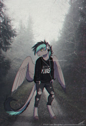Size: 600x880 | Tagged: safe, artist:kingprobby, oc, pegasus, anthro, unguligrade anthro, clothes, hoodie, pants, ripped pants, solo, torn clothes
