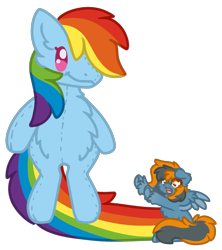 Size: 1688x1901 | Tagged: safe, artist:michini, rainbow dash, oc, pegasus, pony, g4, chest fluff, chibi, cute, plushie, rainbow dash plushie, requested art, simple background, size difference, solo, tiny, tiny ponies, toy, transparent background, wings