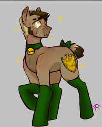 Size: 536x664 | Tagged: safe, artist:tyotheartist1, oc, oc only, oc:royal ranks, earth pony, pony, bow, clothes, collar, colored pupils, eye scar, eyebrows, gray background, male, raised hoof, scar, signature, simple background, socks, solo, stallion, sweat, sweatdrop, tail, tail bow