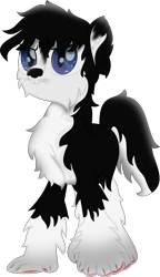 Size: 5132x8910 | Tagged: safe, artist:php178, dog, dog pony, hengstwolf, husky, hybrid, original species, pony, werewolf, wolf, wolf pony, my little pony: the movie, .svg available, alternate universe, black and white, black and white tail, black mane, blake connors, blue eyes, bushy tail, chest fluff, chin fluff, claws, death stare, dog nose, ear fluff, fanart, fur, glare, grayscale, highlights, leg fluff, male, monochrome, movie accurate, neck fluff, paw pads, paw prints, pawkinesis, paws, ponified, race swap, red, serious, serious face, shading, simple background, slit pupils, species swap, stallion, stallion oc, svg, tail, transparent background, two toned tail, vector, webkinz, whiskers, youtube