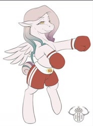 Size: 1080x1461 | Tagged: safe, artist:herhornedhighness, oc, oc only, oc:knockout, pegasus, pony, bipedal, boxing, boxing gloves, female, mare, simple background, solo, sports, white background