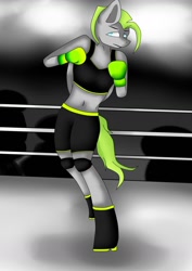 Size: 1034x1462 | Tagged: safe, artist:glacy art, oc, oc only, oc:lime blitz, pegasus, anthro, unguligrade anthro, boxing, boxing gloves, boxing ring, clothes, female, solo, sports, sports bra